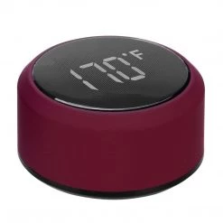 NISUS Water Bottles Stainless Insulated Water Bottle With LED Temperature Display, 15 Oz