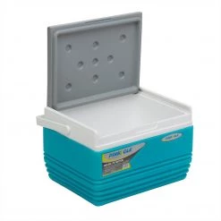 PINNACLE Eskimo Portable Outdoor Ice Chest | Handle | 11 Qt | Four Color Options | CLEARANCE