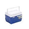 PINNACLE Eskimo Portable Hard-Sided Ice Chest For Camping, 4 Qt Coolers 2 PINNACLE Eskimo Portable Hard-Sided Ice Chest For Camping, 4 Qt Coolers