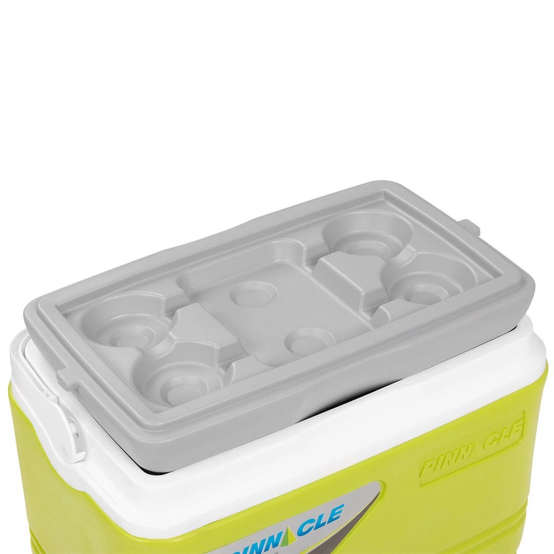 PINNACLE Primero Portable Camping Ice Chest | 33 Qt | Lid Cup Holders | CLEARANCE 9 PINNACLE Primero Portable Camping Ice Chest | 33 Qt | Lid Cup Holders | CLEARANCE