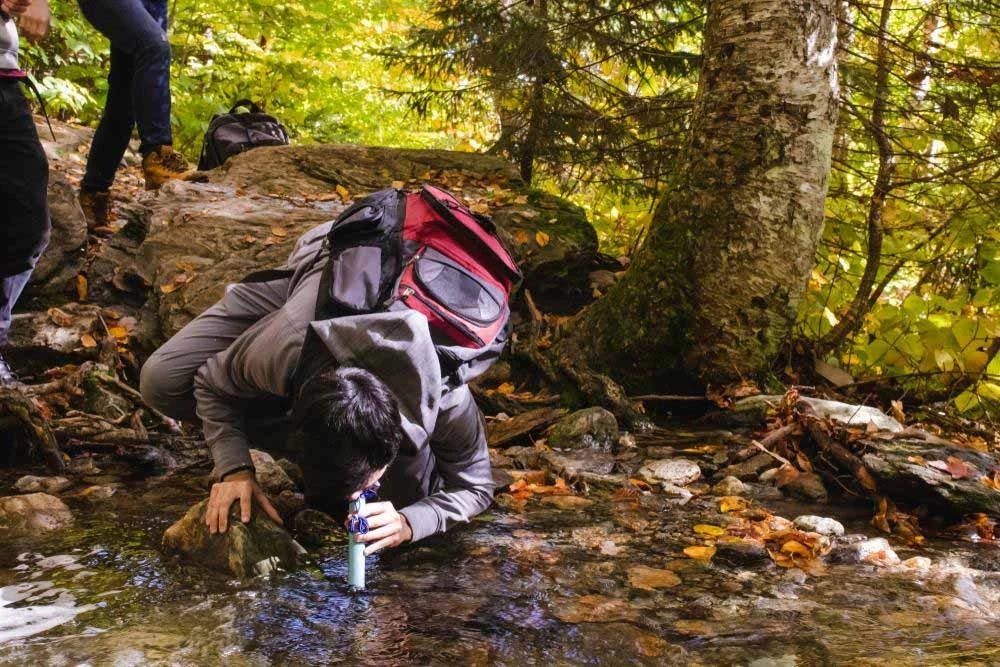 NISUS 18 Oz Stainless Steel Water Bottle And Carbon 0.1-micron Filter Water Bottles 10 NISUS 18 Oz Stainless Steel Water Bottle And Carbon 0.1-micron Filter Water Bottles